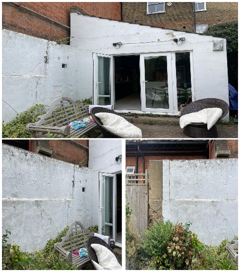 🌲 Back Yard — Before